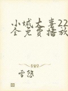 小城大事22集全免费播放