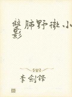 双肺野微小结节影