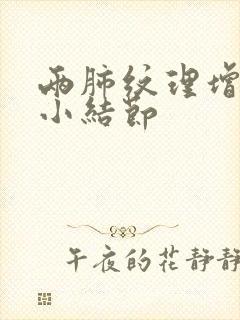 两肺纹理增多微小结节