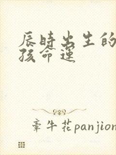 辰时出生的猴男孩命运封面