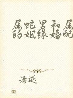 属蛇男和属兔女的姻缘婚配封面