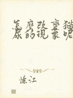 怎么改变猫咪乱尿的现象呢