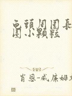 龟头周围长了一圈小颗粒