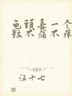 龟头长一个小肉粒不痛不痒