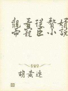 观看从赘婿到女帝宠臣小说封面