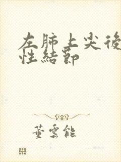 左肺上尖后段实性结节封面