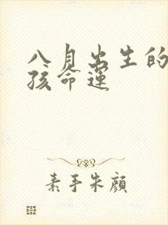 八月出生的马男孩命运