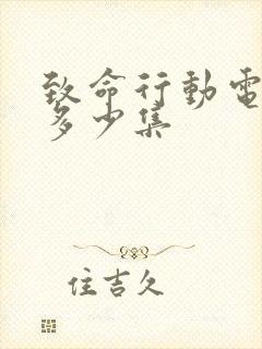 致命行动电视剧多少集