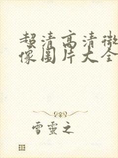 超清高清微信头像图片大全