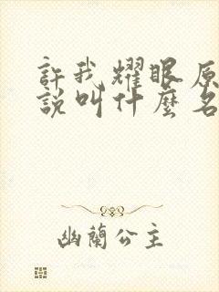 许我耀眼原著小说叫什么名字