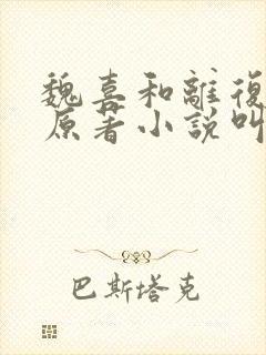 魏喜和离复洞房原著小说叫什么