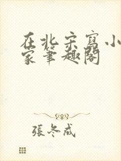 在北宋写小说养家笔趣阁封面