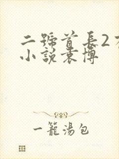 二号首长2有声小说袁博
