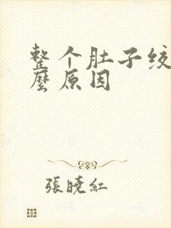 整个肚子绞痛什么原因