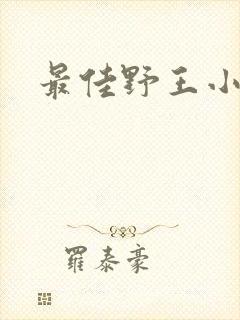 最佳野王小说封面