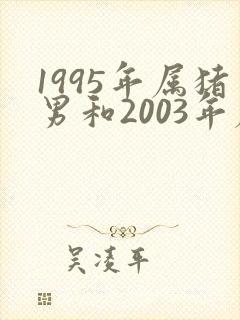 1995年属猪男和2003年属羊女的婚配