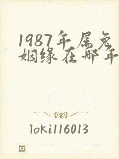 1987年属兔姻缘在哪年最旺盛
