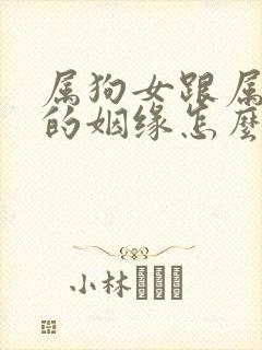 属狗女跟属兔男的姻缘怎么样