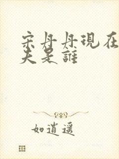 宋丹丹现在的丈夫是谁