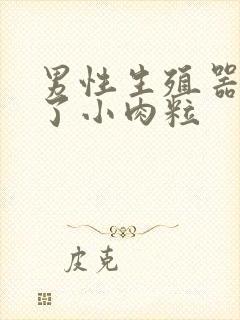 男性生殖器官长了小肉粒封面