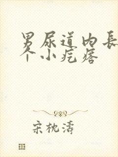 男尿道内长了两个小疙瘩