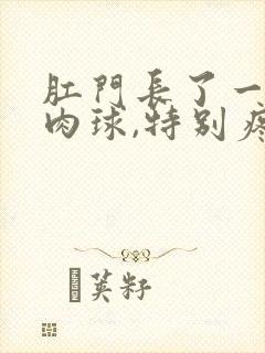 肛门长了一个硬肉球,特别疼