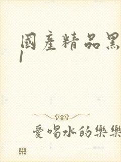 国产精品黑丝91封面