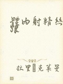 体内射精丝袜高跟