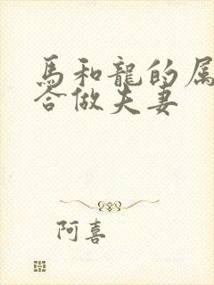 马和龙的属相适合做夫妻封面