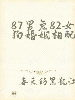 87男兔82女狗婚姻相配好吗