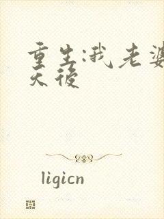 重生:我老婆是天后
