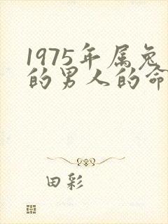 1975年属兔的男人的命运怎么样