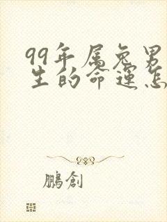 99年属兔男一生的命运怎么样