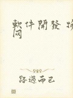 软件开发 物联网