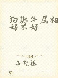 狗与牛属相婚配好不好封面