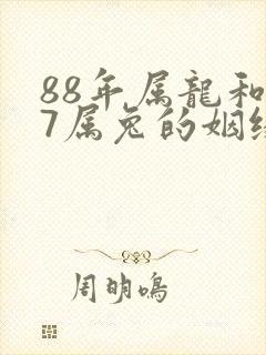 88年属龙和87属兔的姻缘怎样