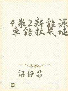 4米2新能源货车能拉几吨货