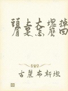 头上大块掉头皮屑是怎么回事封面