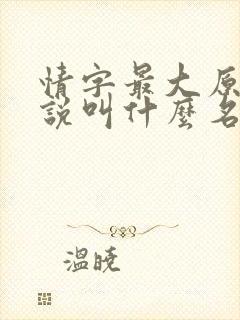情字最大原著小说叫什么名字
