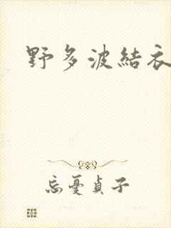 野多波结衣封面