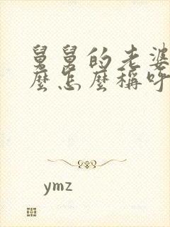 舅舅的老婆叫什么怎么称呼