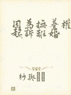 因为抚养权问题起诉离婚