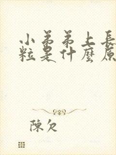 小弟弟上长小肉粒是什么原因封面