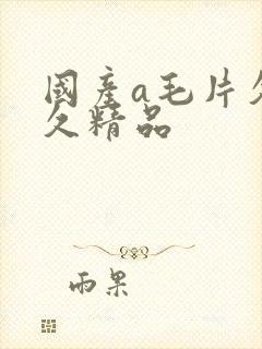 国产a毛片久久久精品