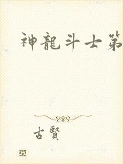 神龙斗士第一部封面