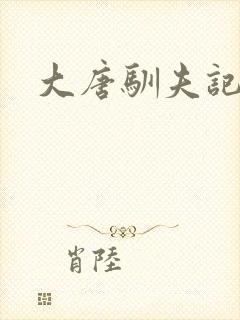 大唐驯夫记封面