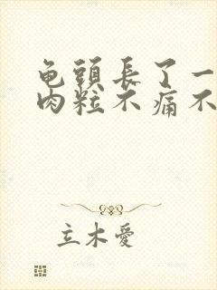 龟头长了一圈小肉粒不痛不痒