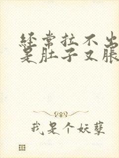 经常拉不出屎但是肚子又胀