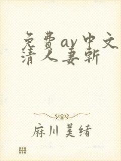 免费av中文高清人妻斩封面