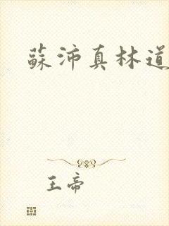 苏沛真林道小说